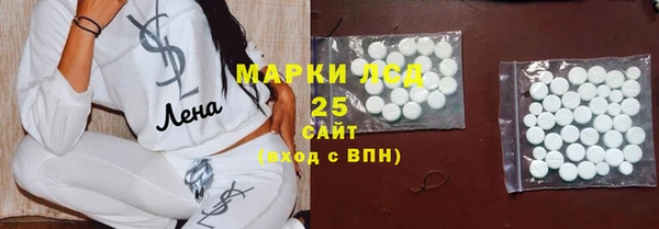 спиды Аркадак