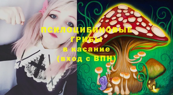 герыч Алексин
