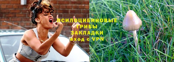 герыч Алексин