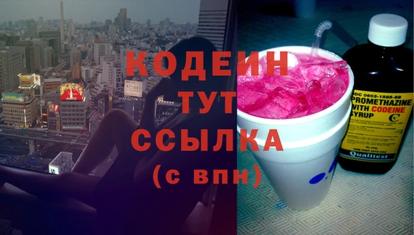 шишки Анива