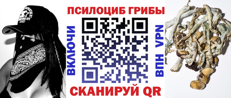 продажа наркотиков  Аткарск  Псилоцибиновые грибы Magic Shrooms 